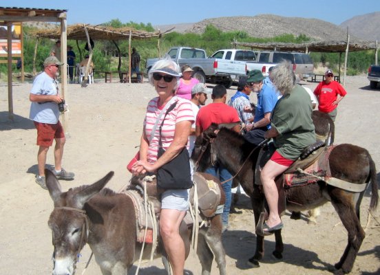 Sheila is on a mule! .JPG