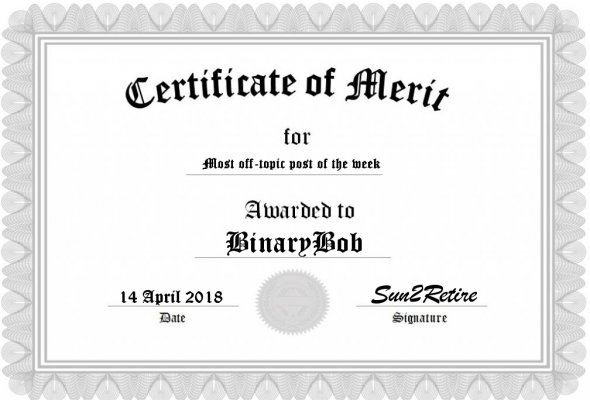 Certificate of Merit.jpg