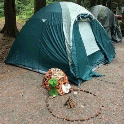 camping cat.jpg