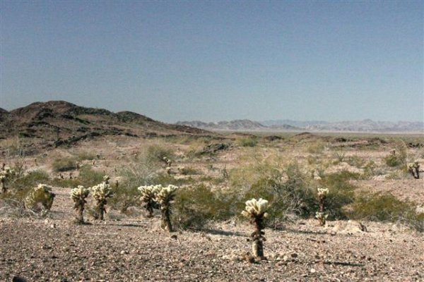 Typical Desert View (Small).jpg
