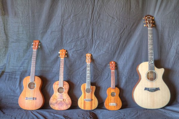 Ukulele sizes.jpg