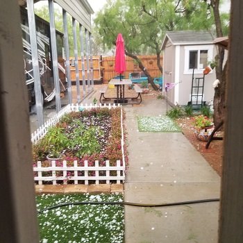 Hail 5-21-2020.jpg