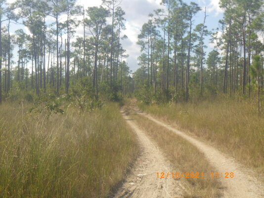 trail1.JPG