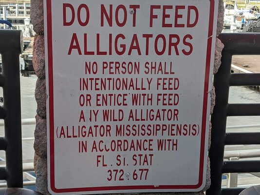 Don't feed aligators.jpg