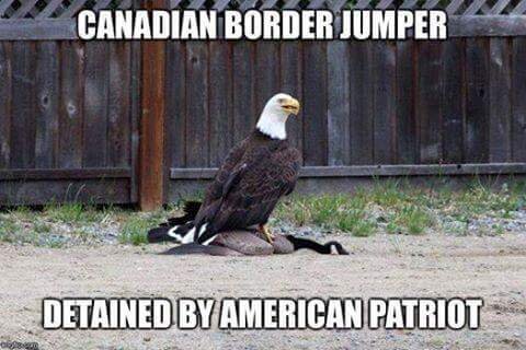 Canadian Border.jpg