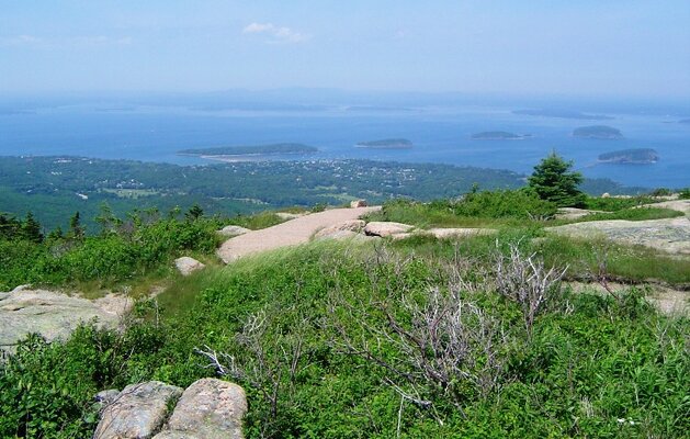 Acadia National Park  .jpg