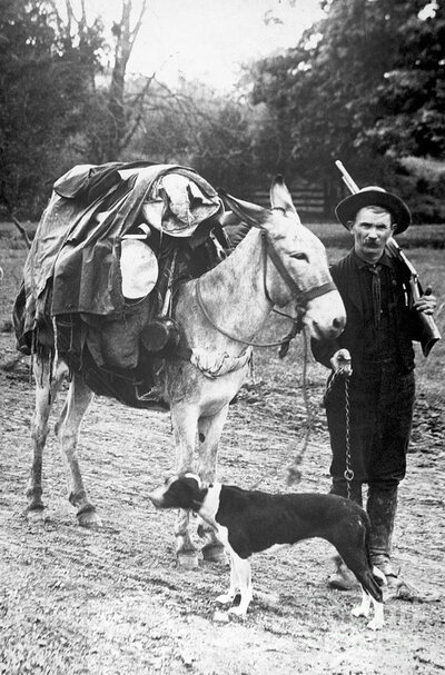 gold-prospector-with-pack-mule-and-dog-bettmann.jpg