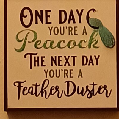Peacock-duster[1].jpg