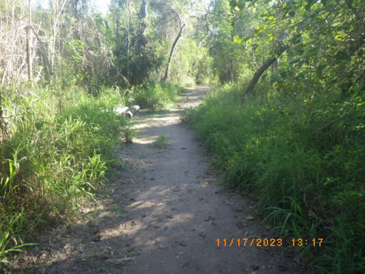 trail2.JPG