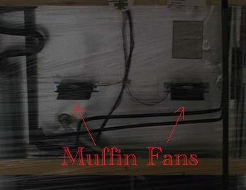 P3040008 Compressed and Cropped Muffin Fans.jpg
