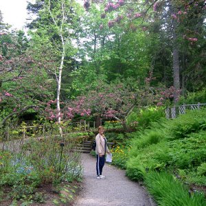 Gardens