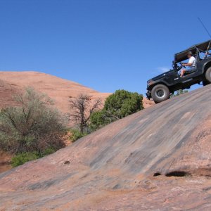 Ken's Jeep on Baby Lion's Back