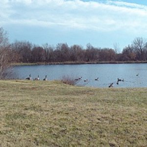 My Lake